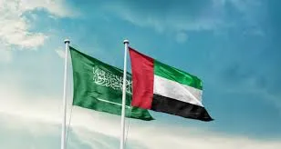 Strengthening Defense Ties: Riyadh and Abu Dhabi's Collaboration with North Africa