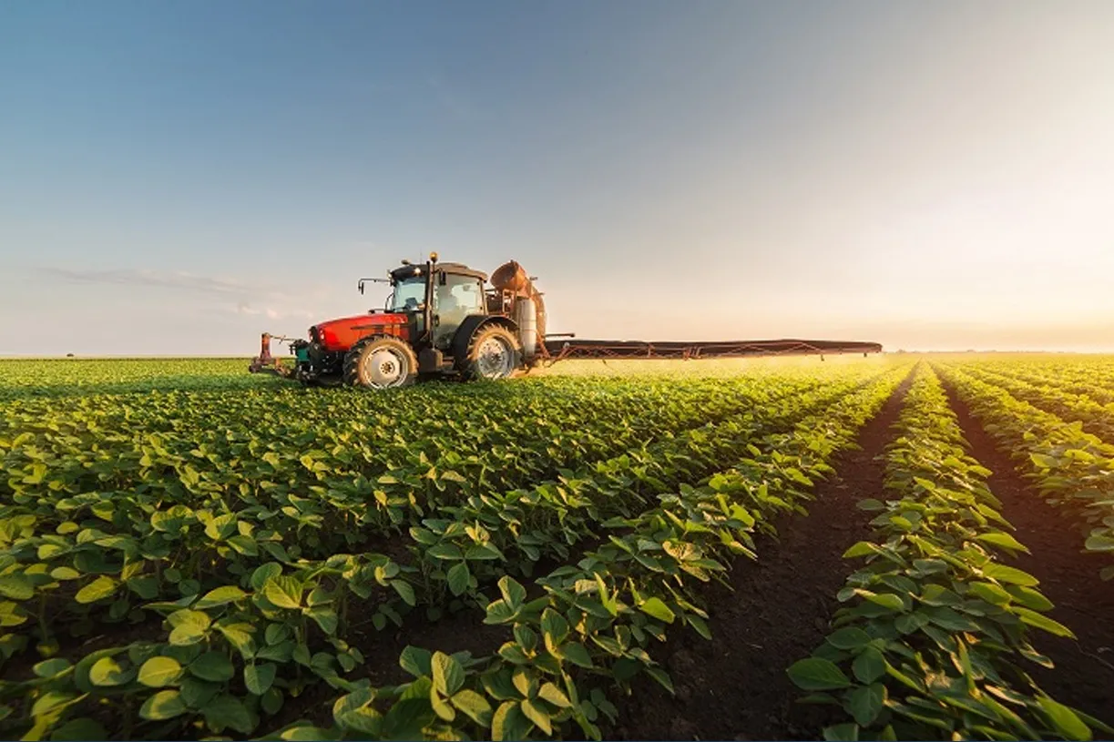 Unlocking Opportunities in Moroccan Agriculture: A Strategic Insight