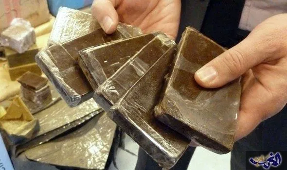 Significant Drug Trafficking Bust in Safi: Authorities Intervene
