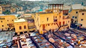 Experience the Vibrant Renaissance of Fes el Bali in Spring 2026