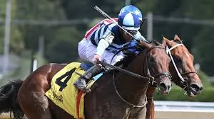 Analyzing the Recent Performances of Top Harness Racing Contenders