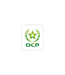 OCP Group to Raise $540 Million through Subordinated Perpetual Bond for Industrial Transformation