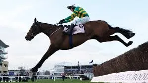 Exciting Horse Racing Schedule for June 8, 2026: What You Need to Know