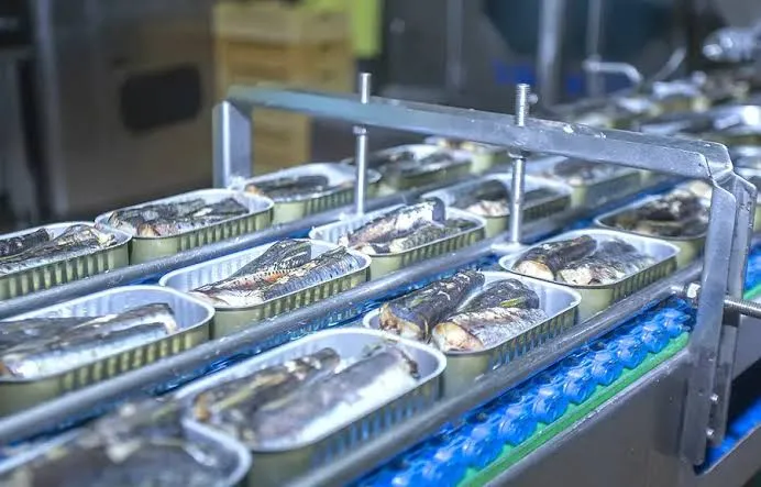 The Sardine Shortage in Morocco: How TikTok Influences Supply and Demand