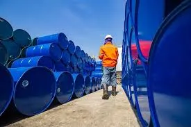 Morocco's Oil and Gas Reserves: Potential Unmet by Development Efforts