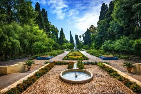 Fes: A Call for Public Amenities and Green Spaces