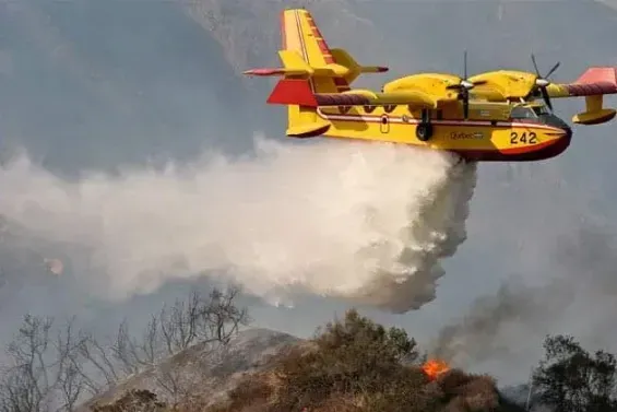 Clarifying the Misconceptions: Morocco's Assistance in Spain's Wildfire Crisis