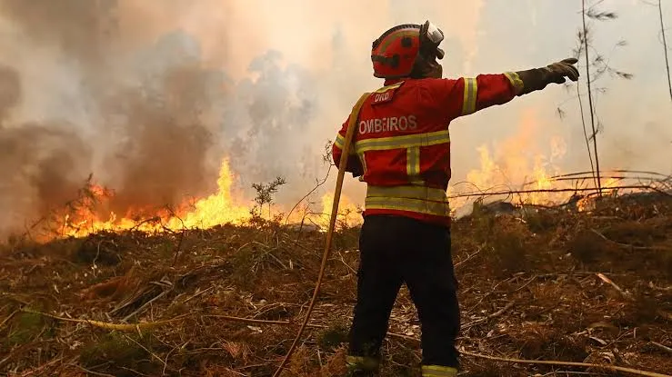 Clarification on Spain's Request for Firefighting Support: No Denial from Morocco