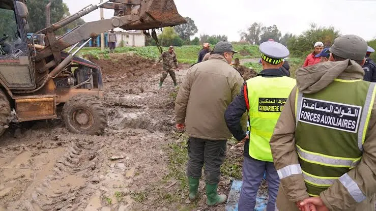 Call for Consultant: Development of Emergency Response Framework in Morocco