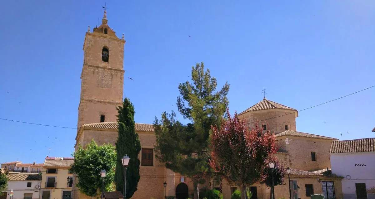 The Impact of Immigration on Albacete's Municipalities: A Diverse Demographic Shift