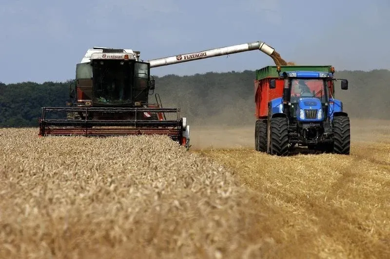 Morocco Resumes Wheat Imports Starting Mid-September