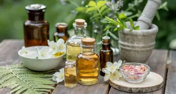 Exploring Natural Products and Their Molecular Mechanisms in Health and Disease