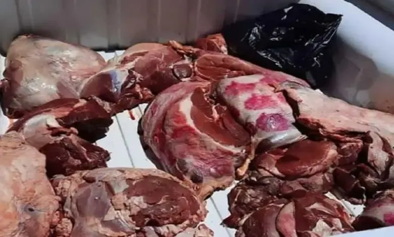 Judicial Proceedings Initiated in the Spoiled Meat Case in Fes